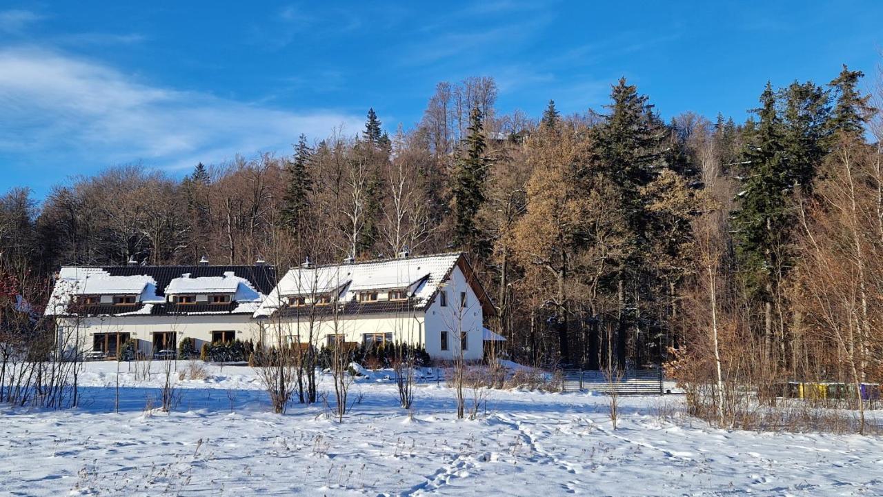 Widokowo - Domki Z Widokiem Na Sniezke Z Jacuzzi I Sauna Karpacz Buitenkant foto