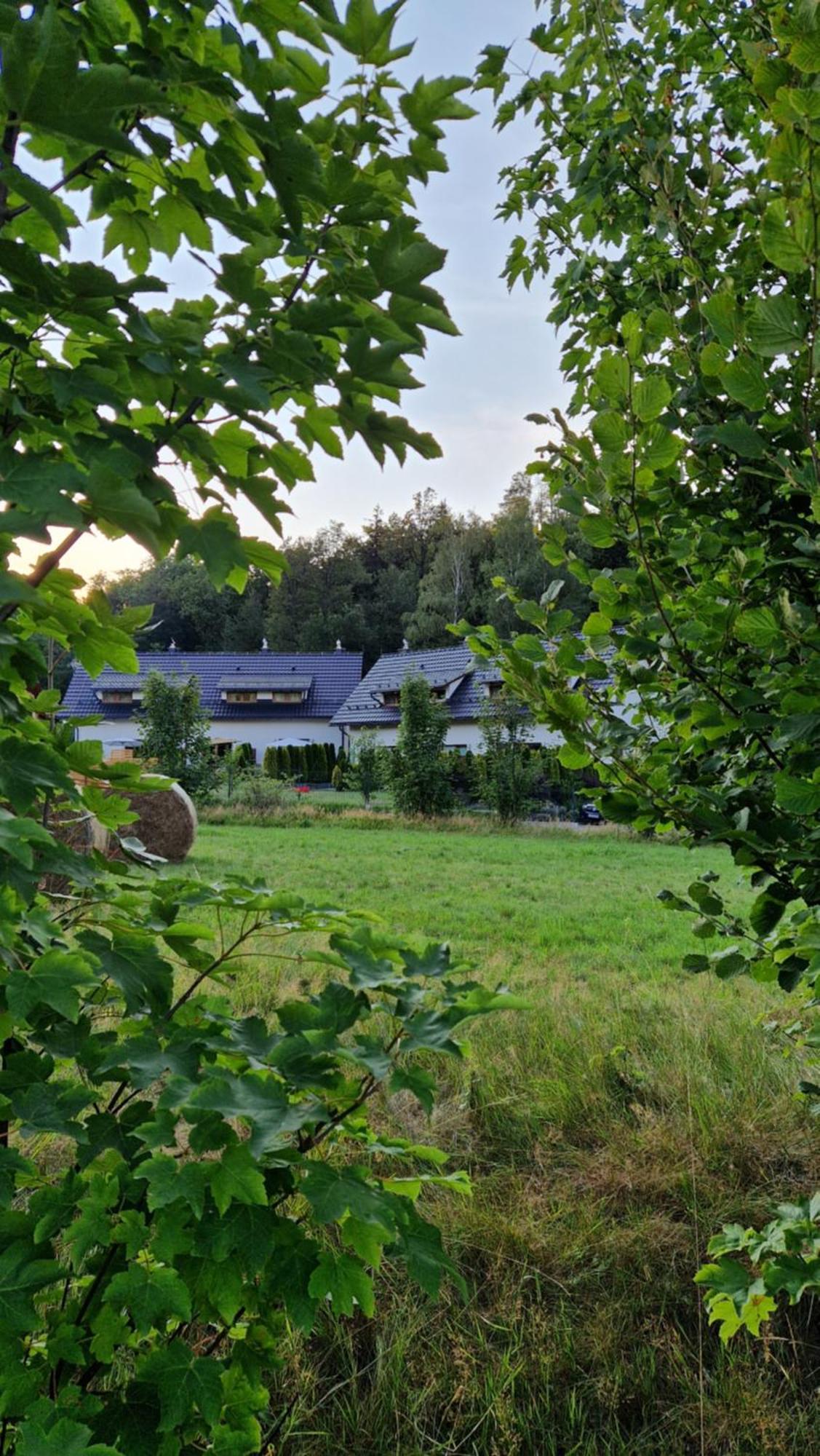 Widokowo - Domki Z Widokiem Na Sniezke Z Jacuzzi I Sauna Karpacz Buitenkant foto